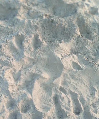 Fine Fly Ash Powder supplier