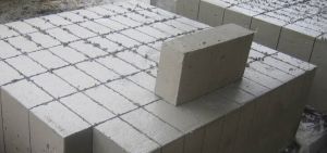 Cuboidal Fly Ash Brick supplier